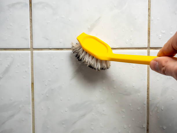 Best Residential Mold Removal  in Mountain City, TN