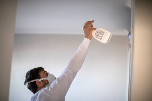 Attic Mold Removal in Mountain City, TN